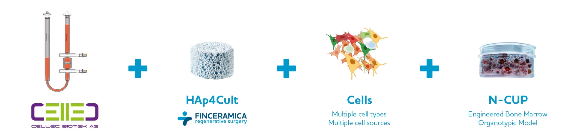 Cellec biotek