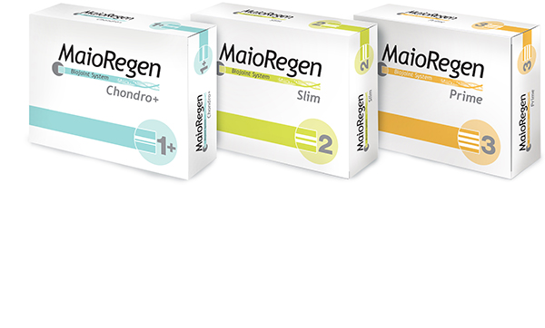 MaioRegen-osteochondral substitute